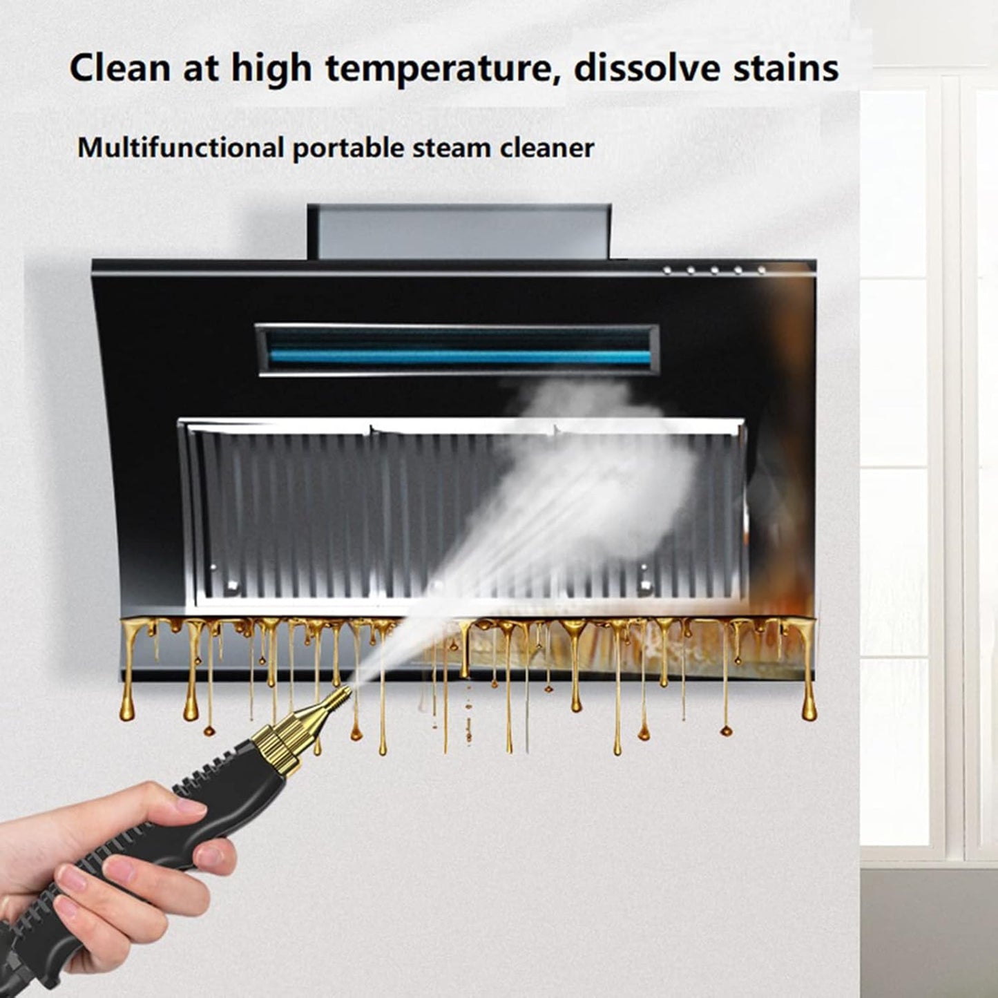 Pressurized Steam Cleaner