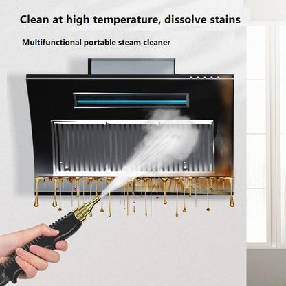 Pressurized Steam Cleaner